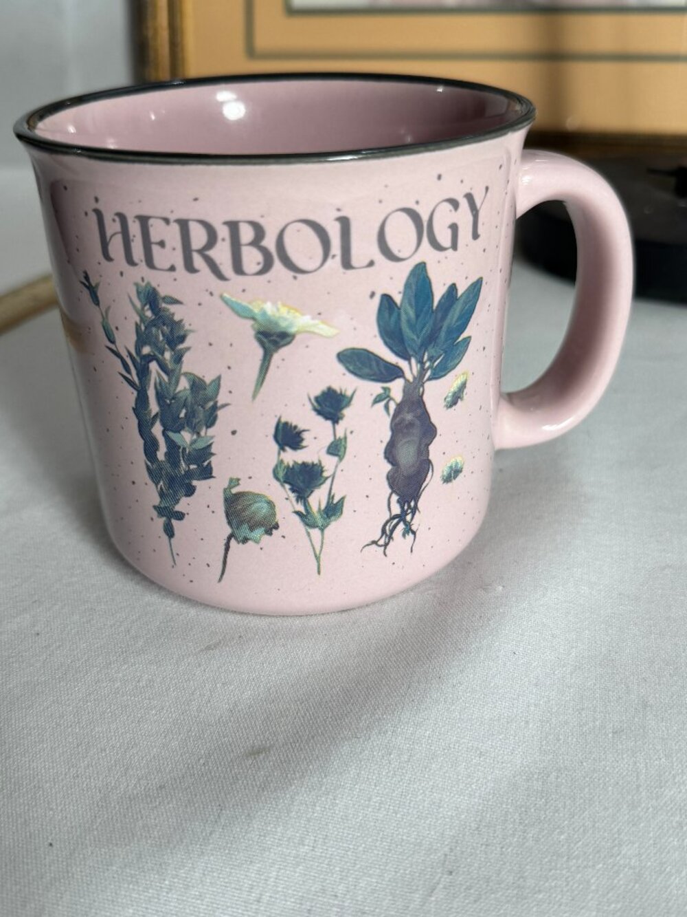 Harry Potter Ceramic mug. features a pink exterior  with the word HERBOLOGY